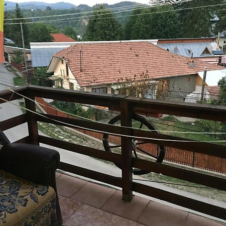 Casa Paltinu Hotel Lunca Mare ห้อง รูปภาพ