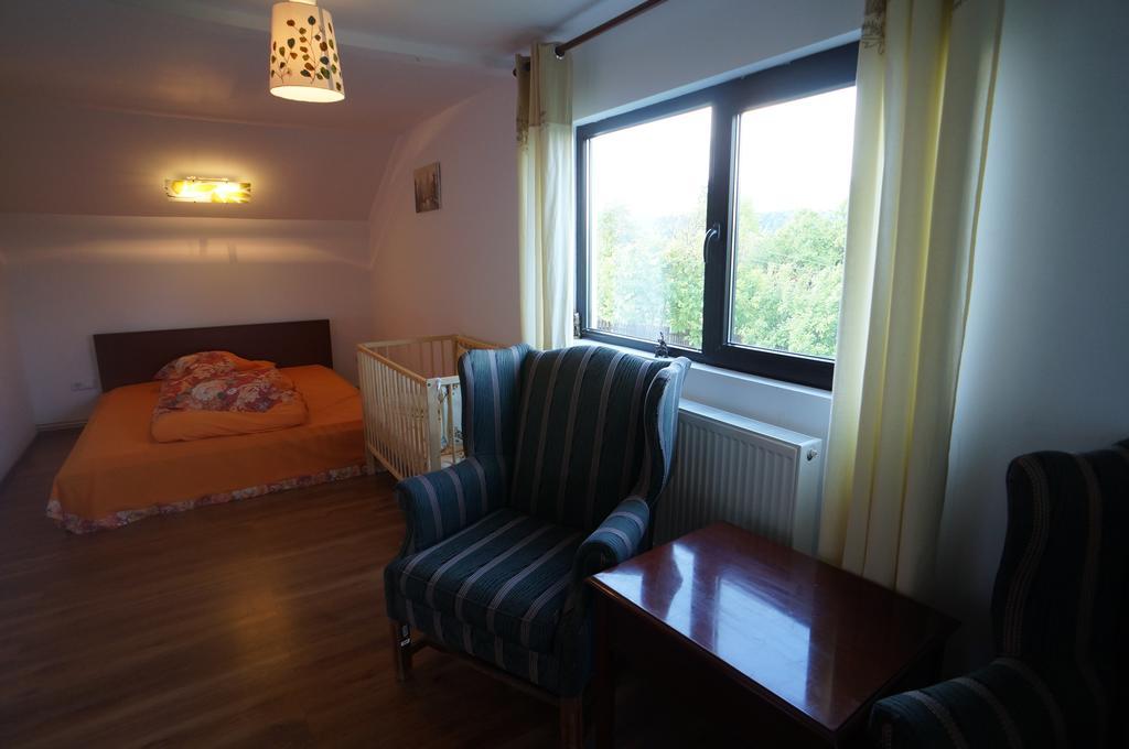 Casa Paltinu Hotel Lunca Mare ห้อง รูปภาพ